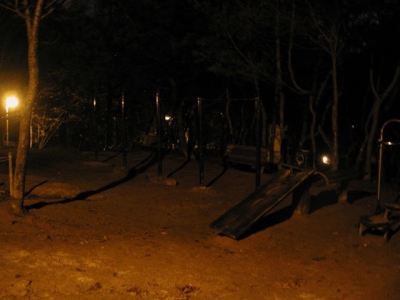 March 26: 1:30 am: Lifeless Park March 26: 1:30 am: Lifeless Park