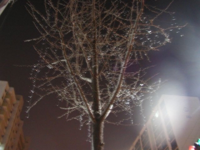 March 26: 1:30 am: Xmas Lights March 26: 1:30 am: Xmas Lights