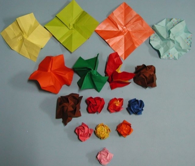 Origami Evolution