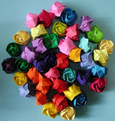 Roses Grow