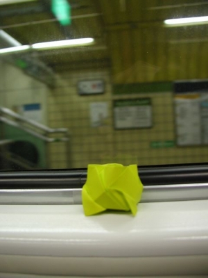 Subway Rose