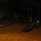 March 26: 1:30 am: Lifeless Park