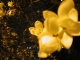 April 9: 1:30 am: Sprung!
