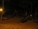 March 26: 1:30 am: Lifeless Park