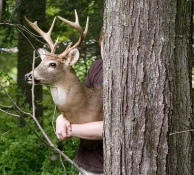 Up close to the deer and his "helper."