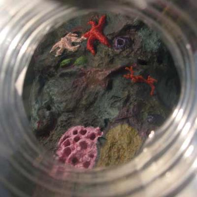 porthole cam