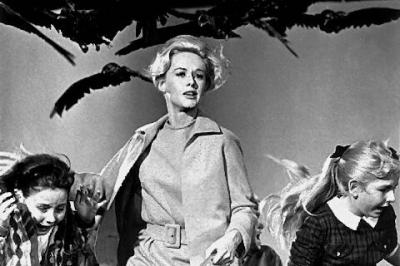 Frame from Alfred Hitchcock's "The Birds"
