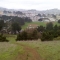 parktrail2.jpg