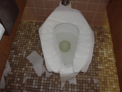 toilet paper seat