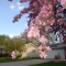 DSC00636.JPG