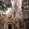 Ta Prohm Temple
