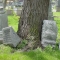 tree rocks grave
