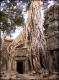 Ta Prohm Temple