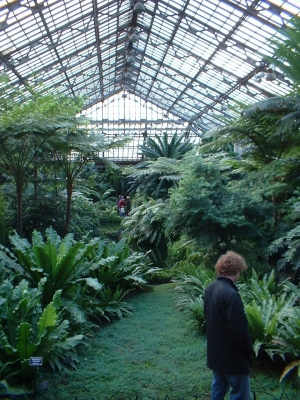 The room itself
