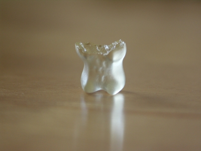 Partially Nommed Bear