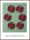 05.16.2008.14.1306_Pentacles.jpg