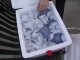 Sparrows' Cooler