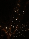 07.12.2008.12.33Lights2.jpg