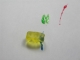 Closer Examination