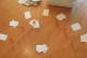 The Last Card