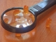 Magnified