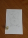 Preliminary Sketch