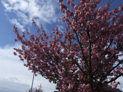 Waiting for two minutes... Waiting for two minutes...