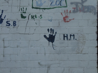 DSCF0026.JPG DSCF0026.JPG