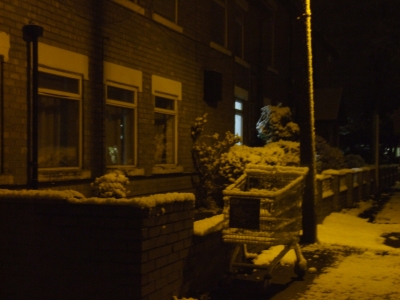 Shopping Trolley anyone?