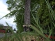 Rest against the nearest tree.