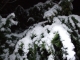 Mmm snow