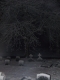 graveyard again
