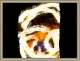 finalpic.bmp