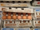 One egg among many