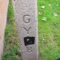 GYØed!