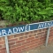 bradwe . . .