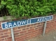 bradwe . . .