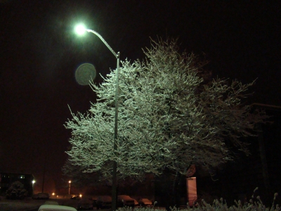 Corner of Hillcrest Dr. and Briarwood Rd. - Winter Corner of Hillcrest Dr. and Briarwood Rd. - Winter