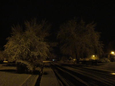 Briarwood Ave. - Winter Briarwood Ave. - Winter