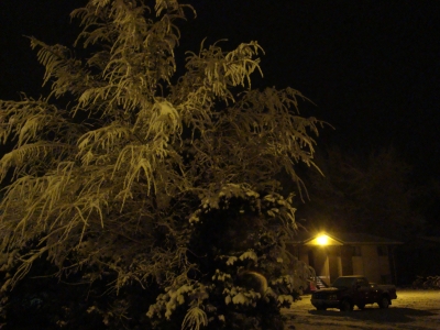 Briarwood Ave. - Winter Briarwood Ave. - Winter