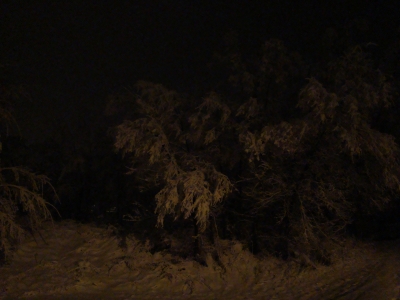 Laporte Ave. - Winter Laporte Ave. - Winter