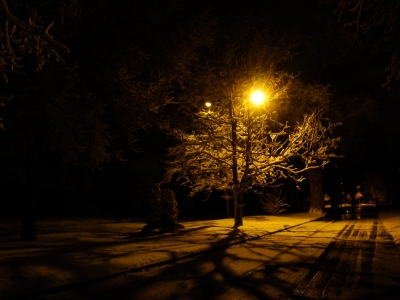 Mountain Ave. - Winter - Medium Exposure Mountain Ave. - Winter - Medium Exposure