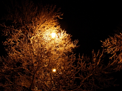 Mountain Ave. - Winter - High Exposure Mountain Ave. - Winter - High Exposure