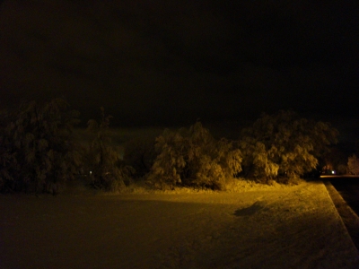 Laporte Ave. - Winter Laporte Ave. - Winter