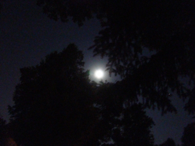The Moon The Moon