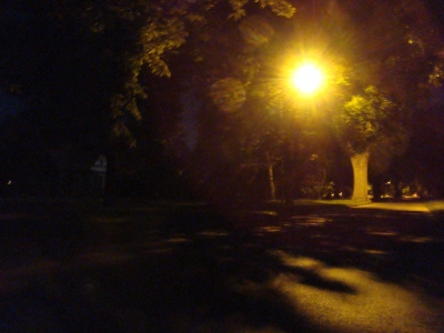 Mountain Ave. - Summer - Medium Exposure Mountain Ave. - Summer - Medium Exposure
