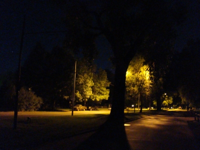 Mountain Ave. - Summer Mountain Ave. - Summer
