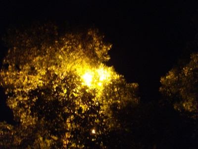 Mountain Ave. - Summer - High Exposure Mountain Ave. - Summer - High Exposure