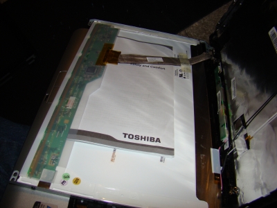 Consider the irony...