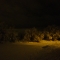 Laporte Ave. - Winter
